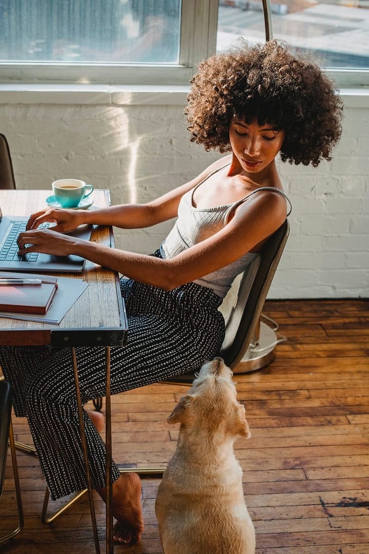 Do You Want to Become a Digital Nomad?
